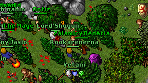 Rookarenerna on screen