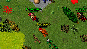 Avorne on screen