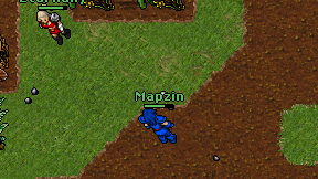 Mapzin on screen