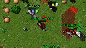 Koks Lunary on screen