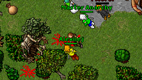 Alexiiej on screen