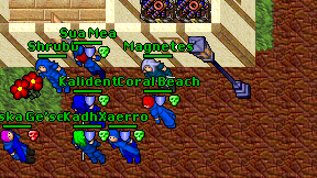 Magnetes on screen