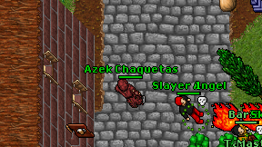 Azek Chaquetas on screen