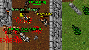 Gatitxa on screen