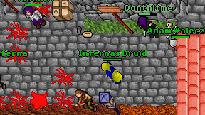 Infernas Druid on screen