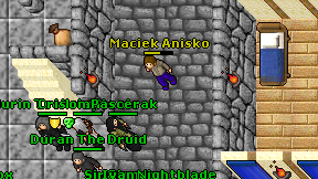 Maciek Anisko on screen