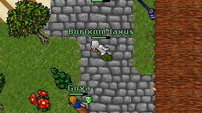 Borixon Maxus on screen