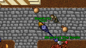 Hawkztr on screen