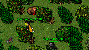Avionio-Pall on screen
