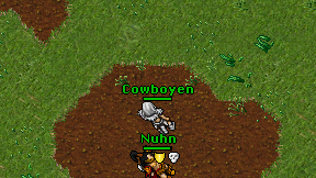 Cowboyen on screen