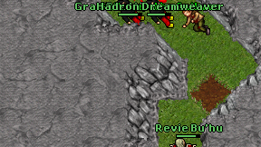Grah Dreamweaver on screen