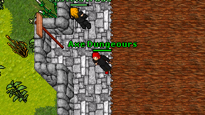Axe Dungeours on screen