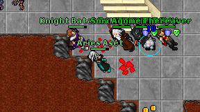 Aries Aset on screen
