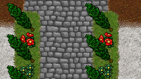 Wizard Sorcer on screen