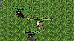 Warrior Sandos on screen