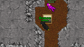 Bumse on screen