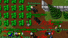 Penguin Box on screen