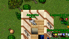 Angelts on screen