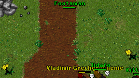 Foxtaman on screen