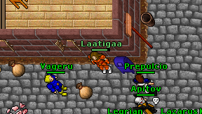 Laatigaa on screen