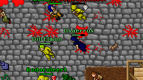Osaerrus on screen