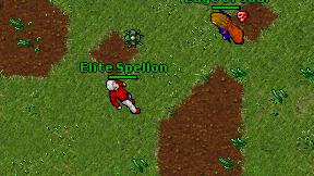 Elite Spellon on screen