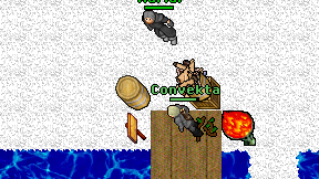 Convekta on screen