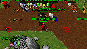 Mouse'Blind on screen