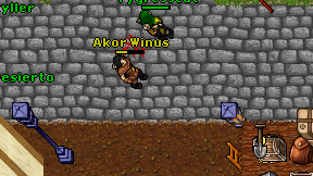 Akor Winus on screen