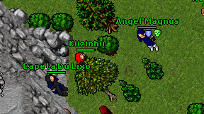 Kiizinhu on screen