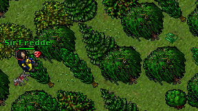 Dactari dactari on screen
