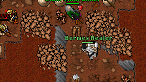 Bermes Healer on screen