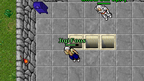 Jigi Fous on screen