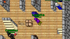 Luppita on screen