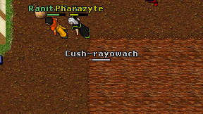 Cush-rayowach on screen
