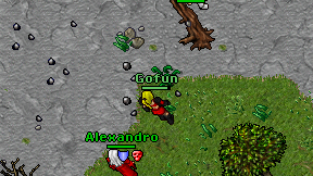 Gofun on screen