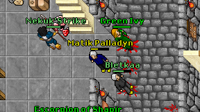 Matik Palladyn on screen