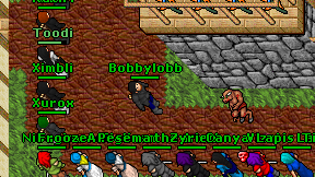 Bobbylobb on screen