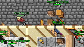 Mansafiera on screen