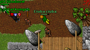 Ciuba ciuba on screen