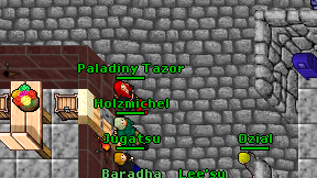 Paladiny Tazor on screen