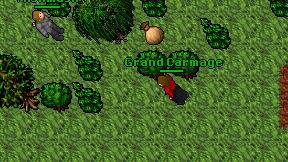 Grand Carmage on screen