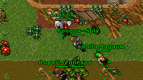 Bongox-Sply on screen