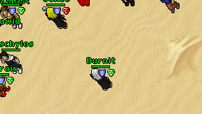 Burnit on screen