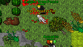 Nero Protector on screen