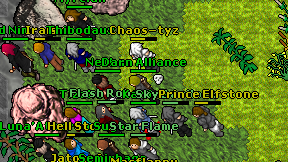 Darn Alliance on screen
