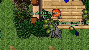 Lobus Doras on screen