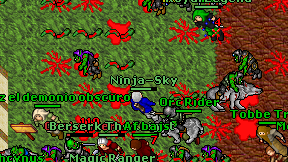 Ninja-Sky on screen