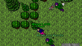 Aspe Loth on screen