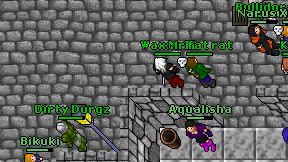 Xiwix on screen